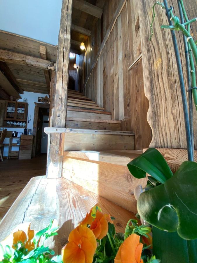 Calore Di Una Casa Di Montagna Campitello di Fassa Εξωτερικό φωτογραφία